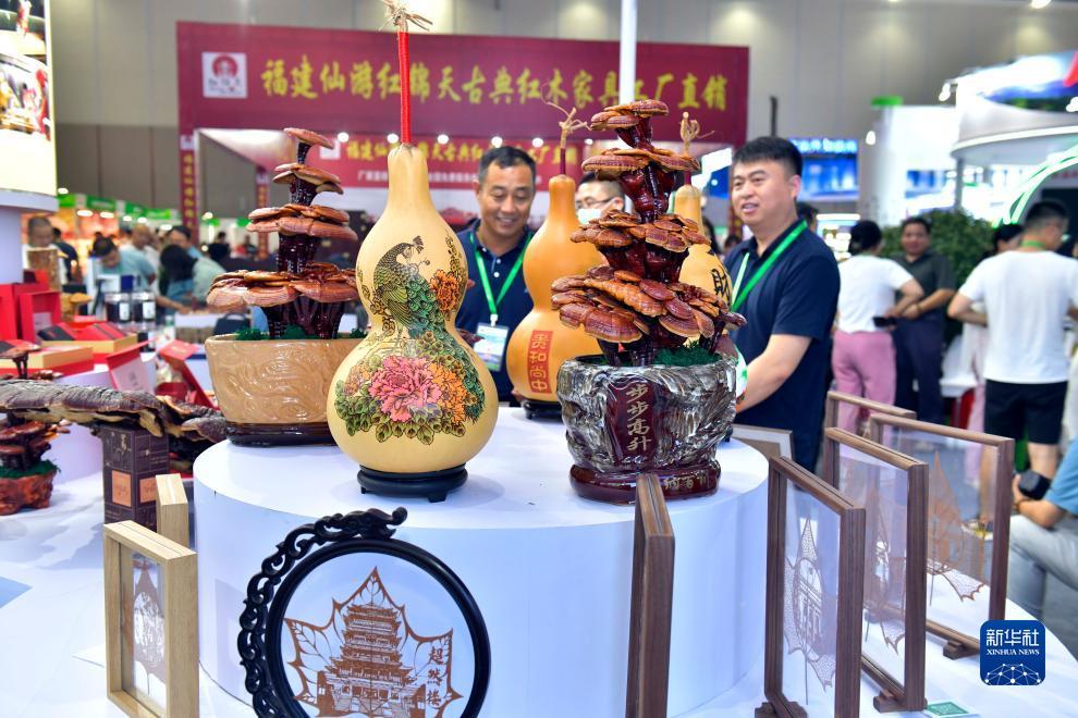 百富论坛白菜彩金